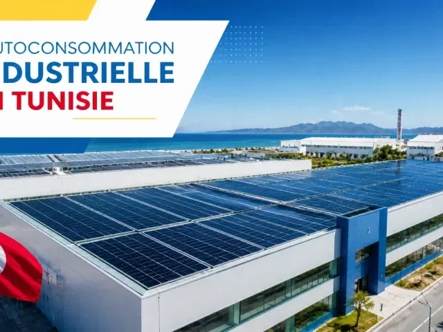 Qu'est-ce que le système "Zero Export" (limitation d'injection) et quel matériel de gestion choisir en Tunisie ?